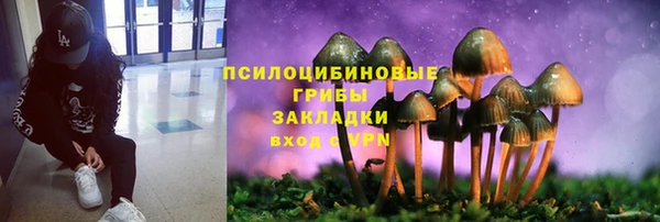 соль курить ск Верея