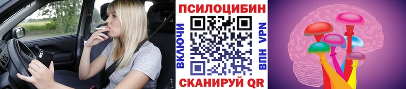 Псилоцибиновые грибы GOLDEN TEACHER  Купить закладки  Княгинино 